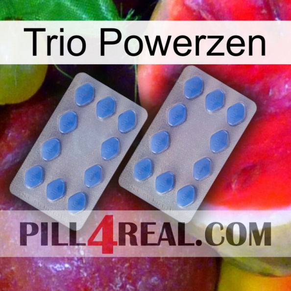 Trio Powerzen 20.jpg